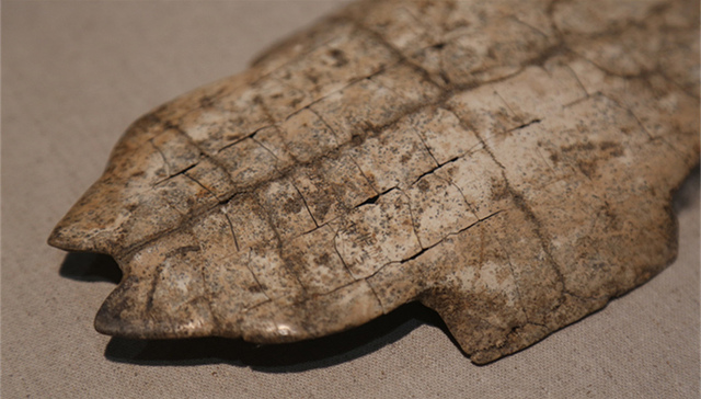 甲骨文,入选,世界记忆名录,安阳殷墟遗址,南京大屠杀档案,传承与发展,国际社会,国家语委,基础研究