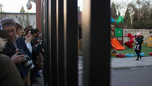 幼儿园教师,警方,点击查看,红黄蓝,朝阳区,报料,新闻,新天地,通报,全文