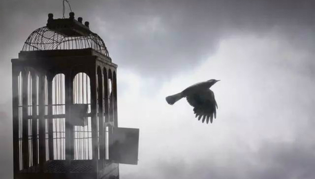 互联网金融,现金贷,政府监管