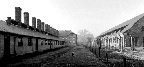 普里莫·莱维：“莫诺维茨是一个不错的集中营 囚犯平均能活三个月”