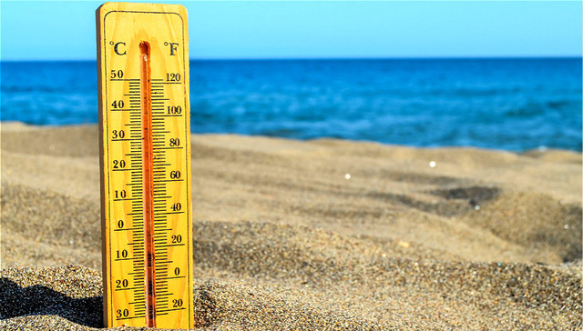 谷歌,大数据,Ai,丰田,埃森哲,安利,客户,员工