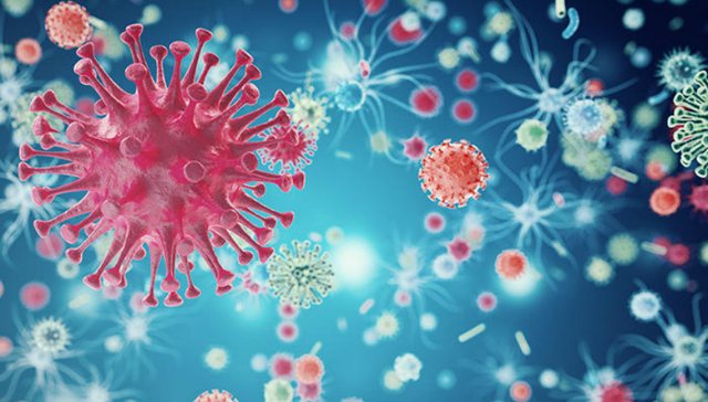 艾滋病,抗体阴性艾滋病,性传播