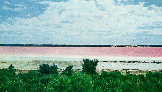 粉红色消失不见 澳大利亚Pink Lake可能要改名了