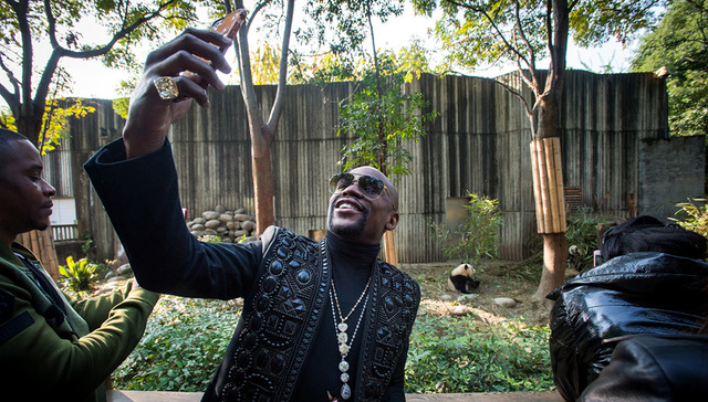 【体育明星日常】梅威瑟中国行认养大熊猫 7岁迷你罗再展球技