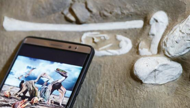 新疆出土300枚3D翼龙蛋 16枚翼龙“宝宝”化石