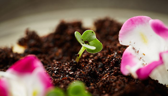 两位米其林一星厨师，和属于他们的上海故事