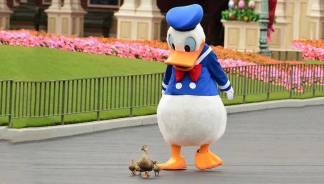 肚子太大，摸不到脚怎么办？