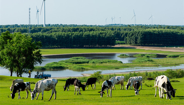 河北塞罕坝林场,联合国,地球卫士奖