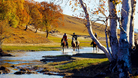 塞罕坝荣获联合国环境领域最高荣誉