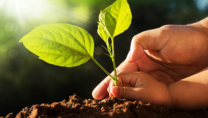 地球卫士,绿色奇迹,快评,生态文明,联合国,塞罕坝,生态环境治理,环境状况,前人栽树后人乘凉,国际社