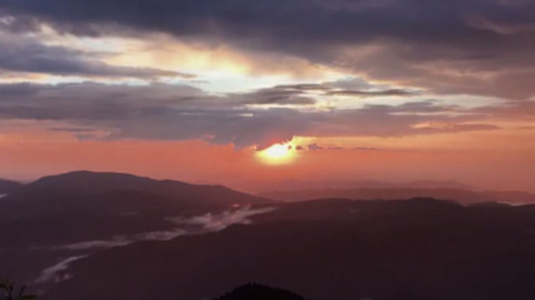 塞罕坝再刷屏，世界聚焦环境治理“中国样本”