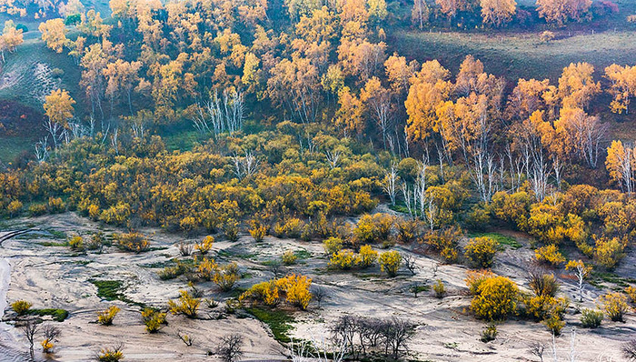 塞罕坝,地球卫士,领奖台,联合国环境规划署,林场,联合国环境署,小胖子,80后,建设者,奖杯