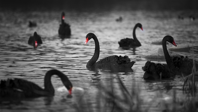 平安证券盘点2018年全球经济的黑天鹅