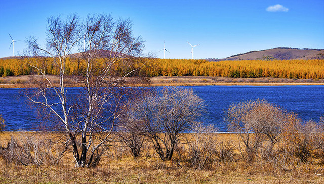 《焦点访谈》中国经验 惊艳了联合国
