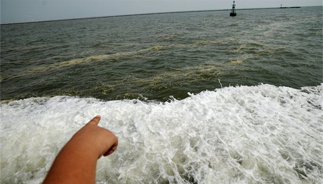 山东渔民,康菲,中海油