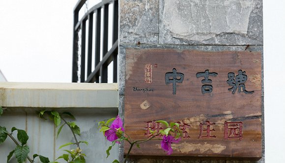 一个关于制茶十年的“新工匠”的故事