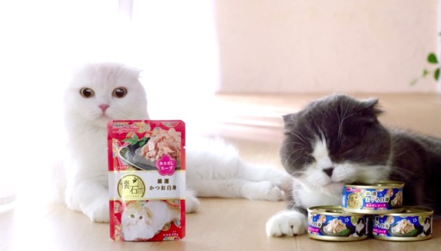 宠物食品,日本