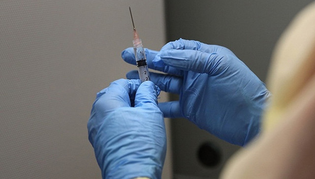 科学家,流感样病例,小变异,抗原表位,蜱类,SARS病毒,病毒感染,病毒学家,蝙蝠,疫情暴发