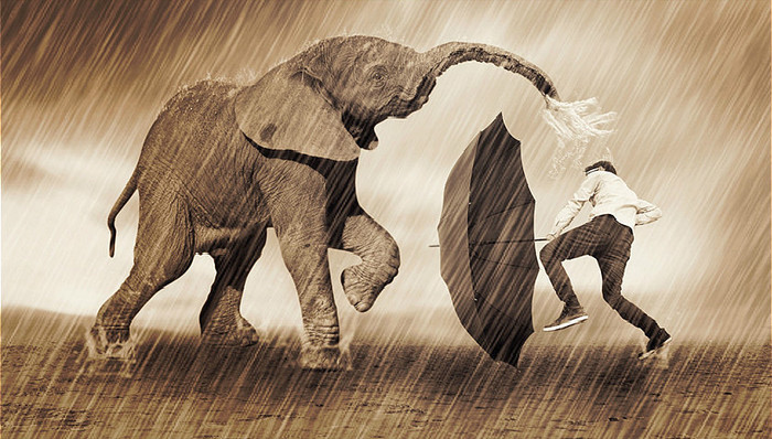 印度,颠覆式创新,硅谷,MBA,产业管理,VC,PE