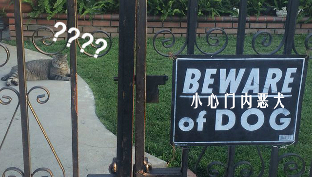 怎么可能拍到这样的照片？