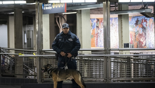 纽约车站爆炸案嫌犯曾发警告：特朗普你没保护好国家