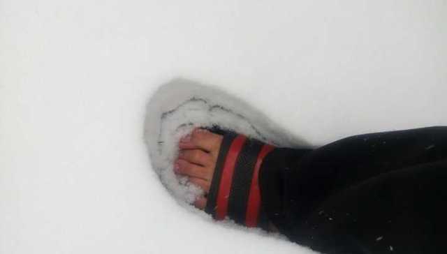 南方人见到雪会有什么行为？