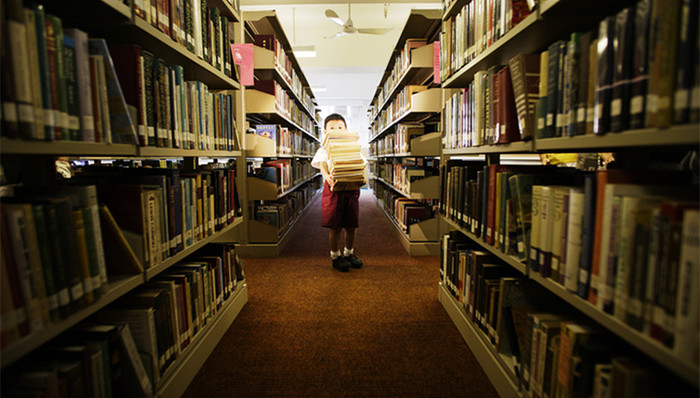 公共文化,重要法律,公共图书馆法