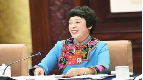 【十九大代表风采】梅园雪：这个局长每年230天在田里，为达小康走遍516个村