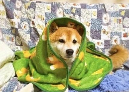 2017年过去之前，我们组织了一场“比惨大会”，发现90后还是很好的