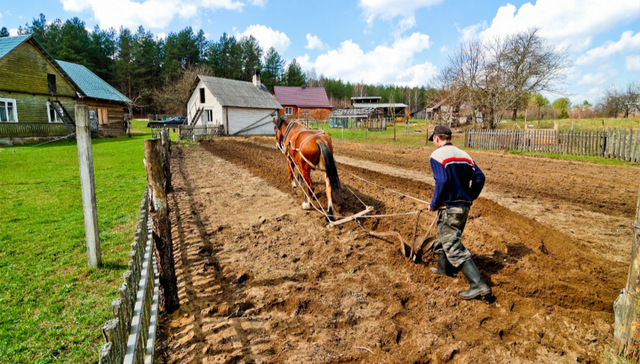 农业部：明年开展集体产权制度改革将“整省整市”试点