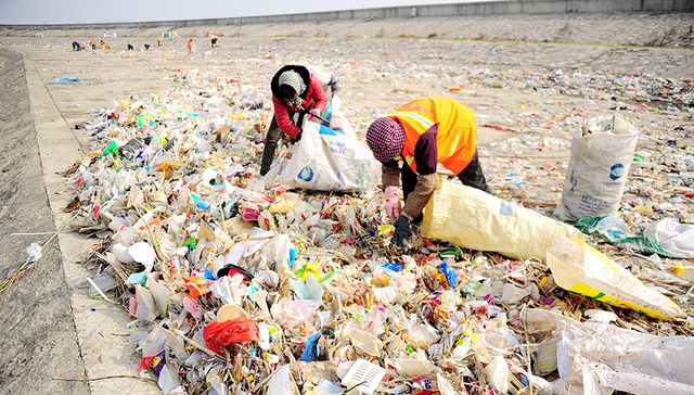 长江南通段,垃圾处置费,长江航运,垃圾焚烧发电,垃圾焚烧厂,垃圾填埋场,入江,垃圾分类,垃圾进行,长