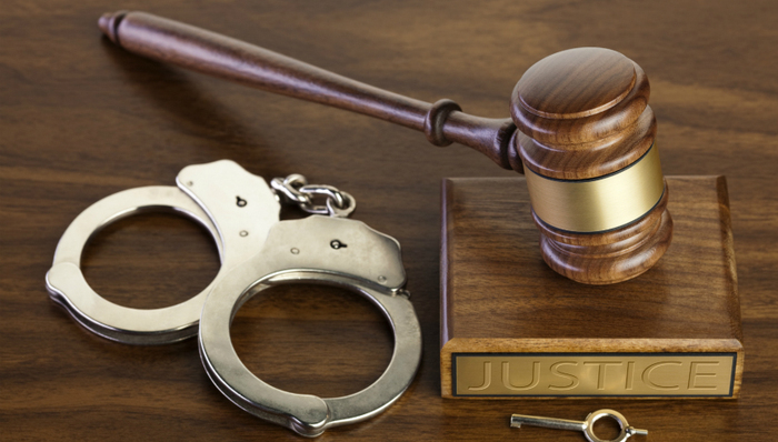 杭州保姆纵火案,,辩护律师,莫焕晶