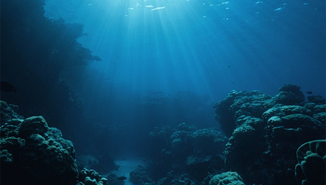 水下永动机器人,全球海洋观测