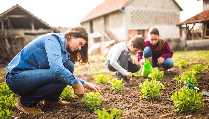 安全食品区块链