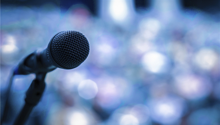 外交部,第2397号决议,发言人