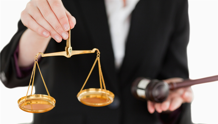 保姆纵火案,莫焕晶,辩护律师