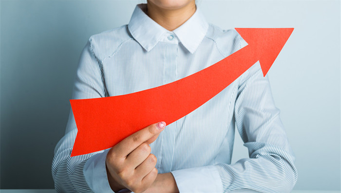 众泰汽车,金字火腿,安妮股份