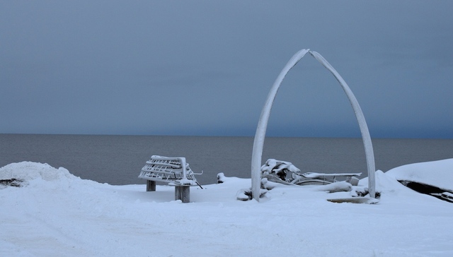 全美各州买买买数据出炉  阿拉斯加让人大吃一惊
