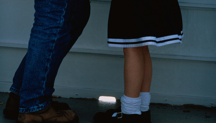 猥亵幼女,野生动物保护,中国地图,文物保护,故宫墙皮,传销组织,热电厂