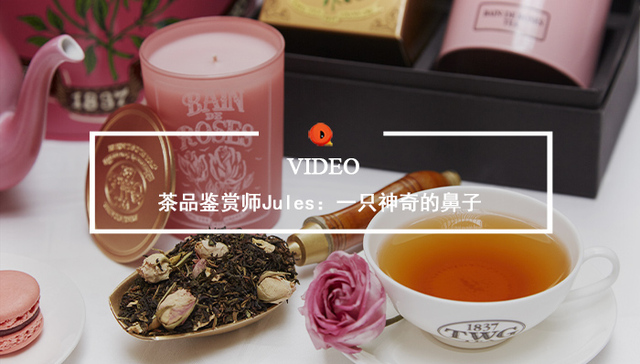 Quality Video | 一只神奇的鼻子