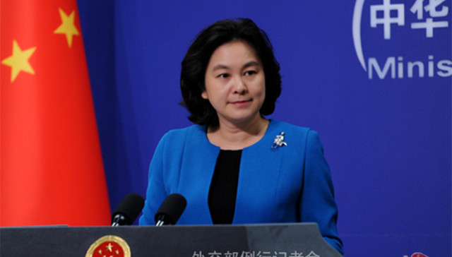 外交部,德国驻华大使,中巴关系