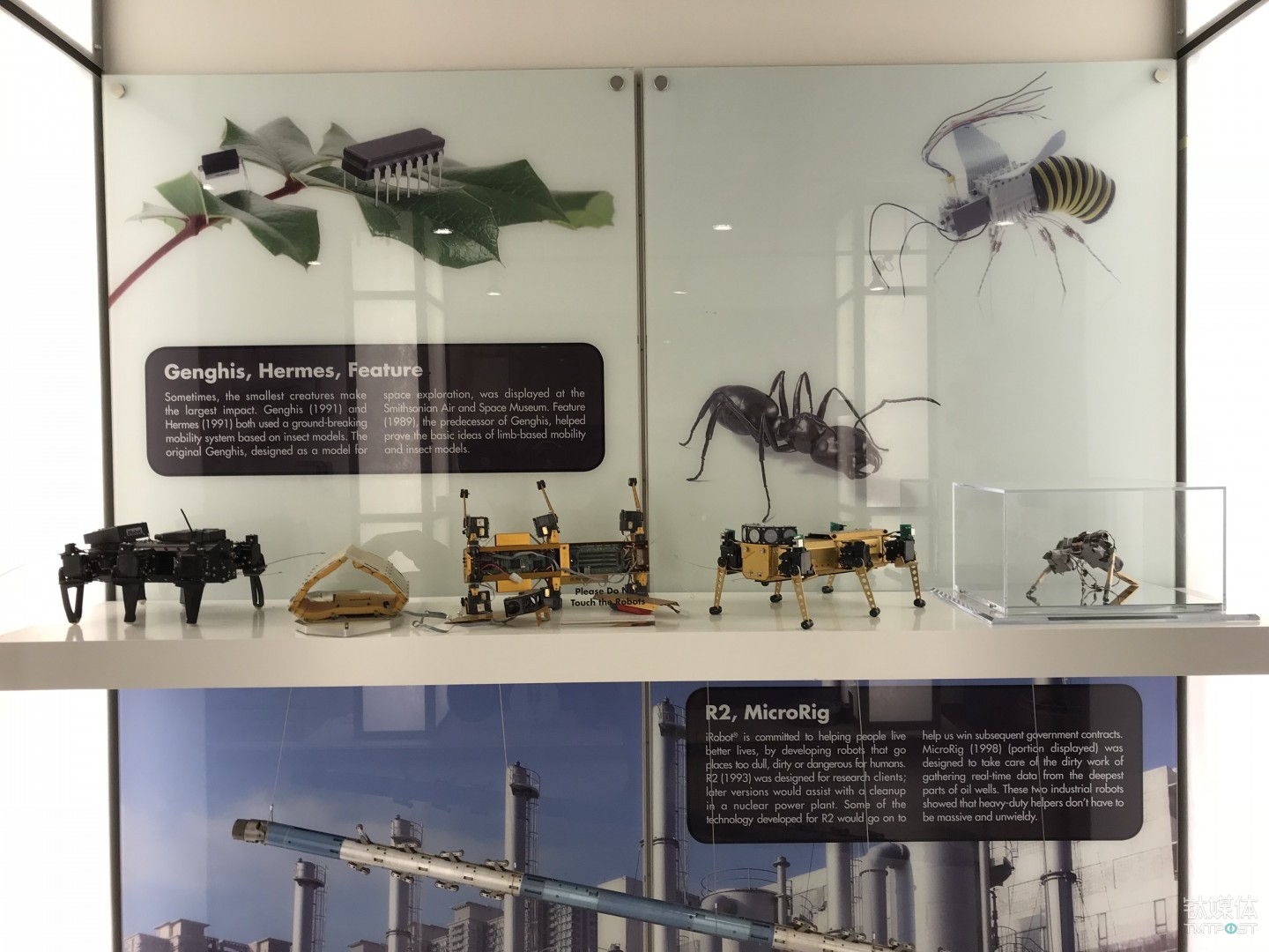 iRobot所尝试过的其他仿生机器人