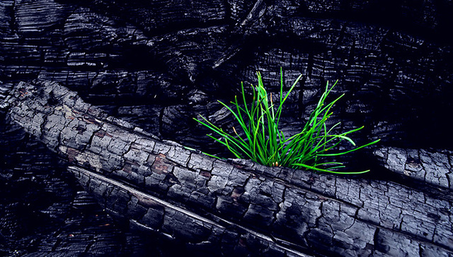 【深度】“煤老大”的能源突围