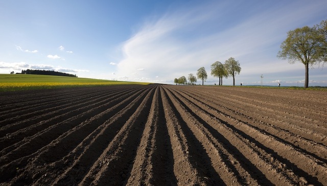 三块地,土地改革,试点地区
