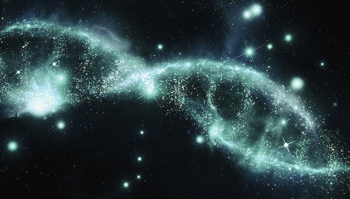 基因组计划,基因图谱,中国人