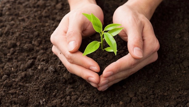 国务院为何让环保税收全归地方？专家这么说