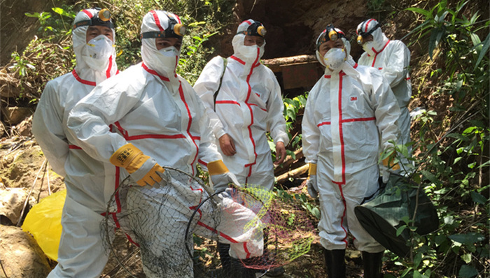 SARS病毒,sars,蝙蝠洞,武汉病毒研究所,病毒基因组,SARFS,SARS冠状病毒,病毒样本