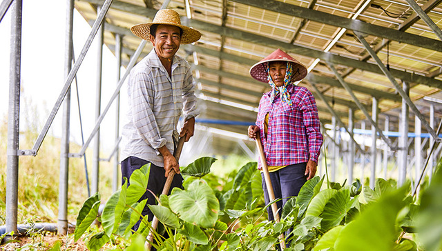 乡村,振兴战略,点击查看,目标任务,农业农村,中央农村工作会议,2050年,报料,农民,2035年