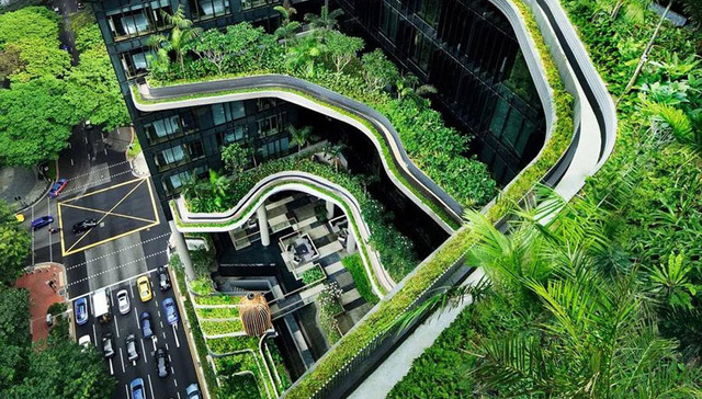 悬空的伊甸园：逃离城市地表，在这里拥抱天空的宁静