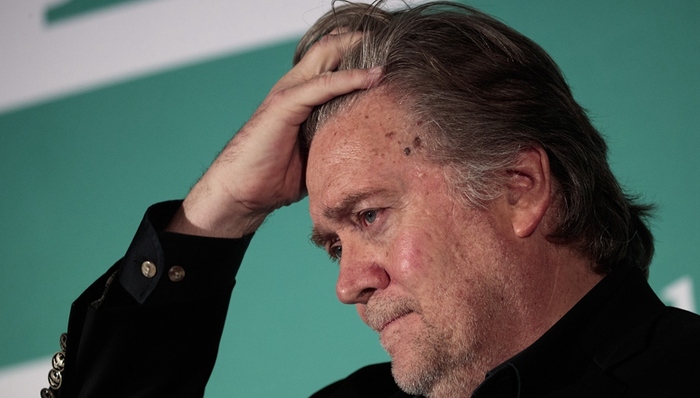 班农,特朗普,声明,叛国,中期选举